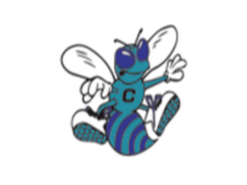 Central Middle School Logo.
