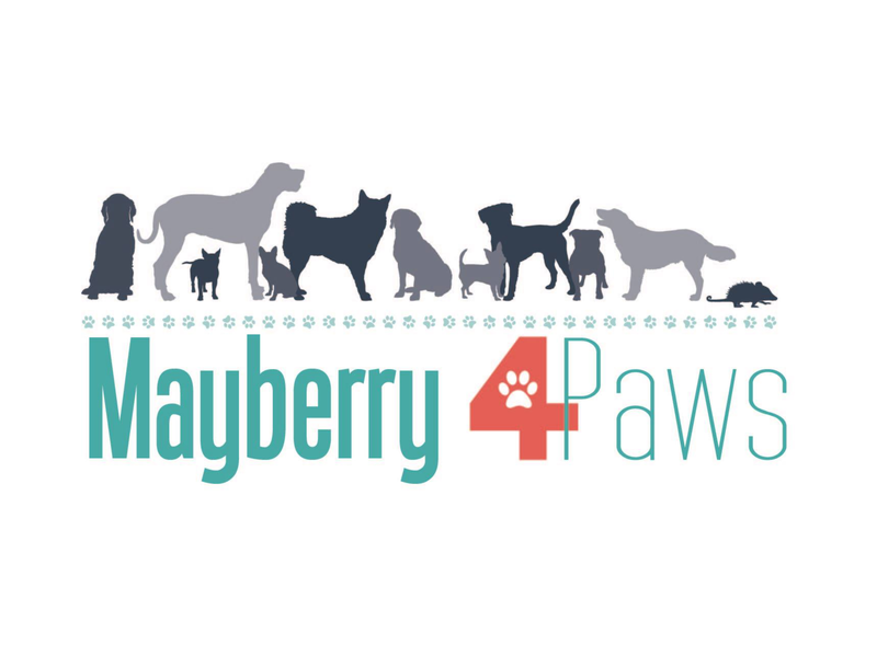 Mayberry for Paws Logo.