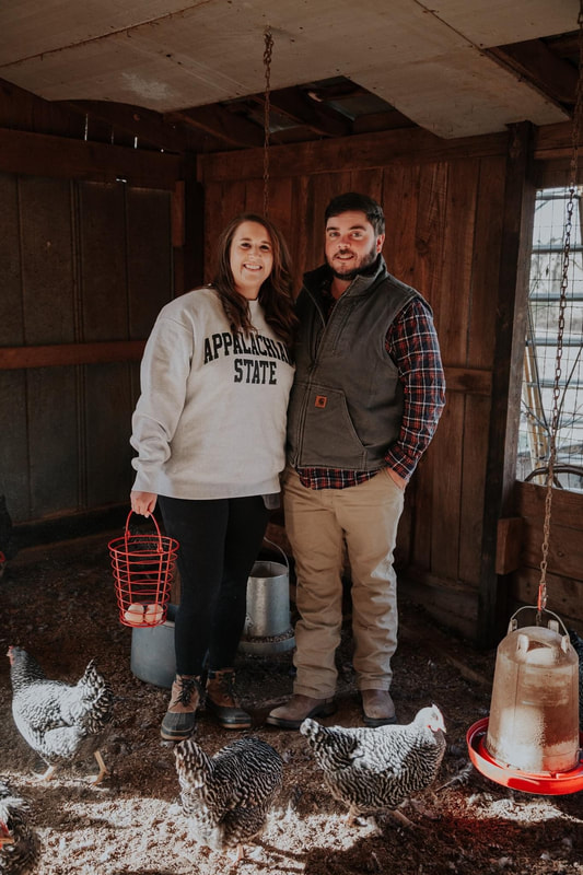 Two people standing together in a barn surrounded by chickens.